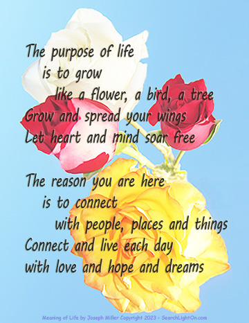 purpose of life poem image